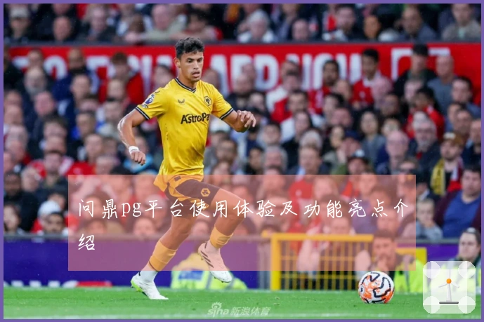 问鼎pg平台使用体验及功能亮点介绍